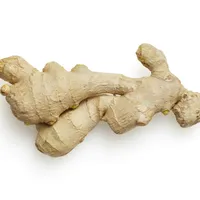 زنجبيل طري