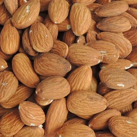 لوز كبير حجم