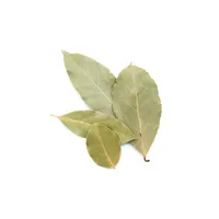 ورق الغار