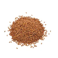 بذور الرشاد
