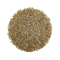 بذور كزبرة